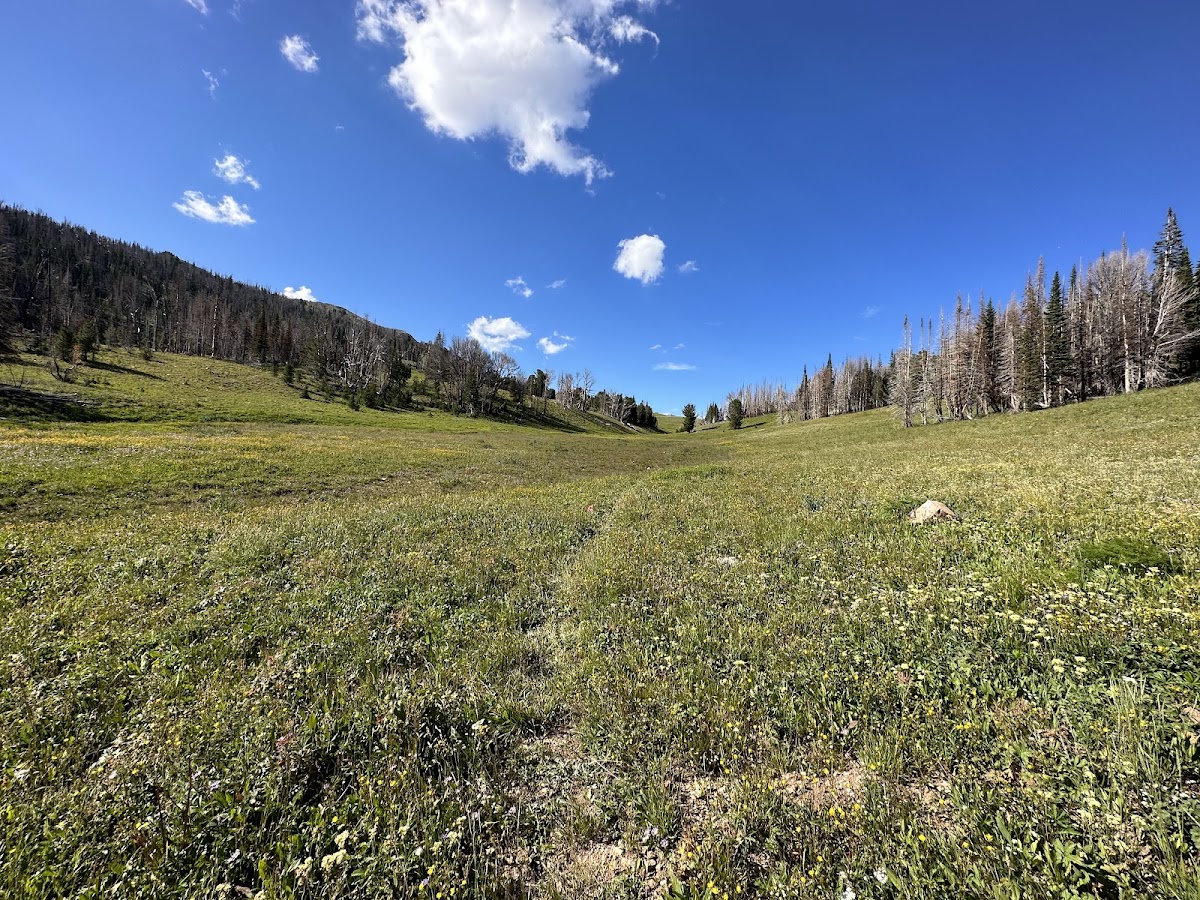Wyoming Range Trail - Section C