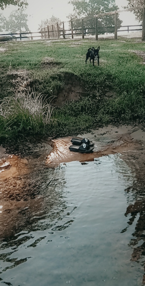 Lake Tansi
