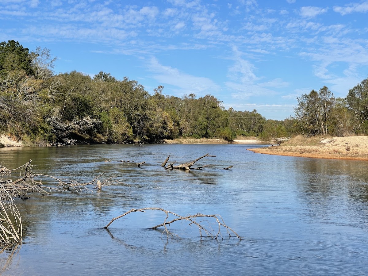 Bogue Chitto