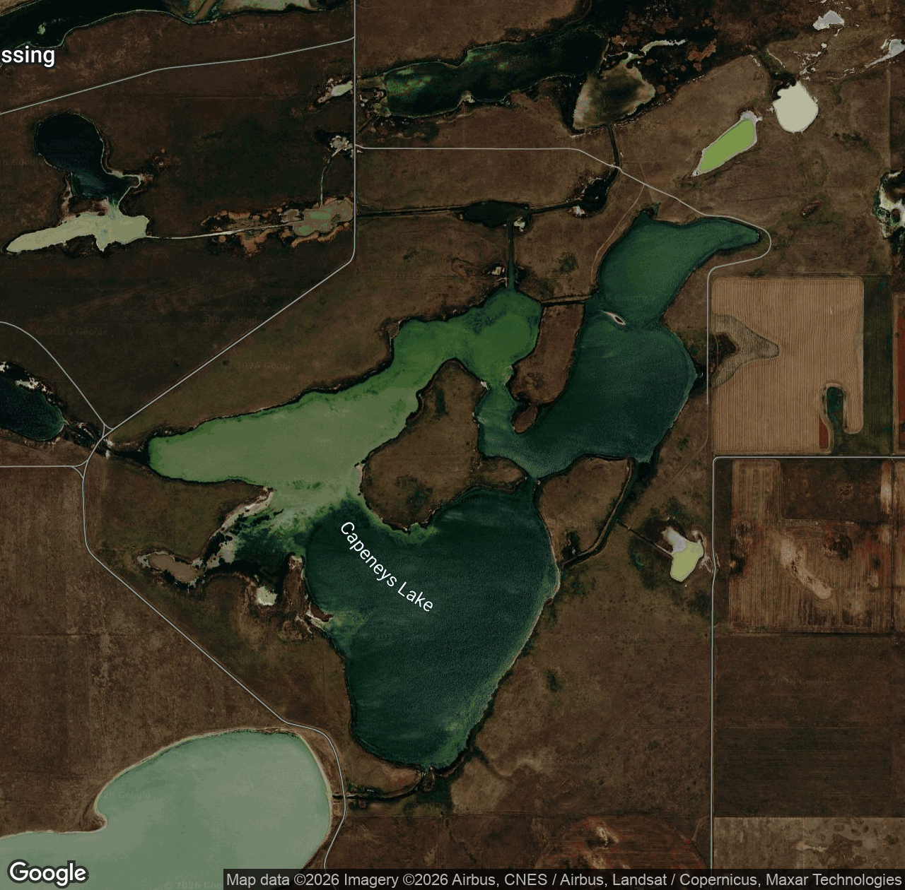 Capeneys Lake