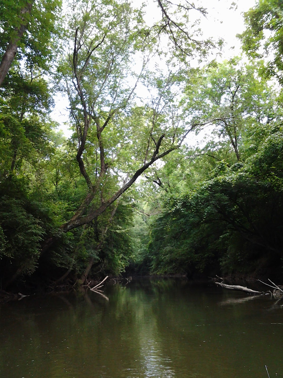 Lost Creek