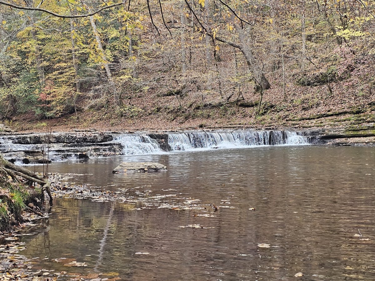 David Crockett State Park