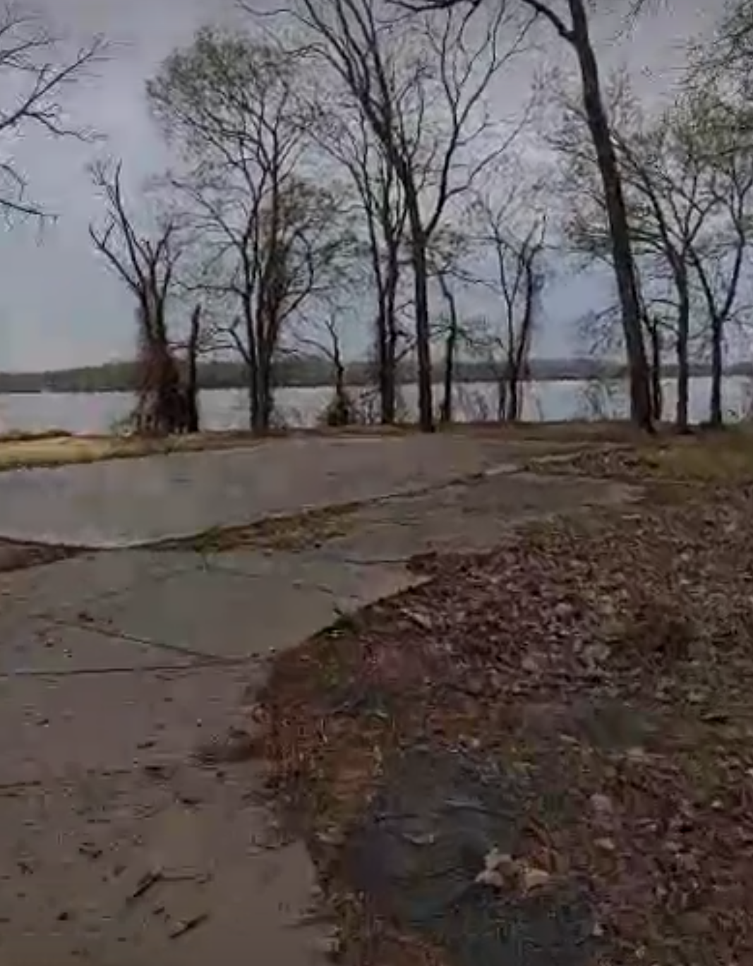 Palarm Creek