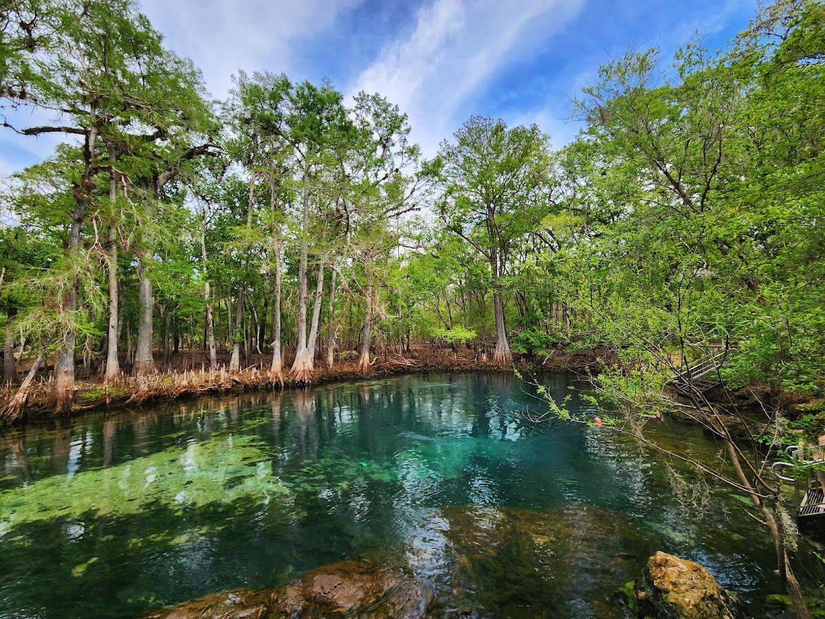 Manatee Springs State Park
