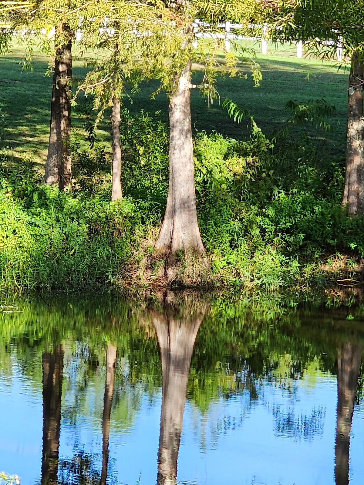 Dead Lake