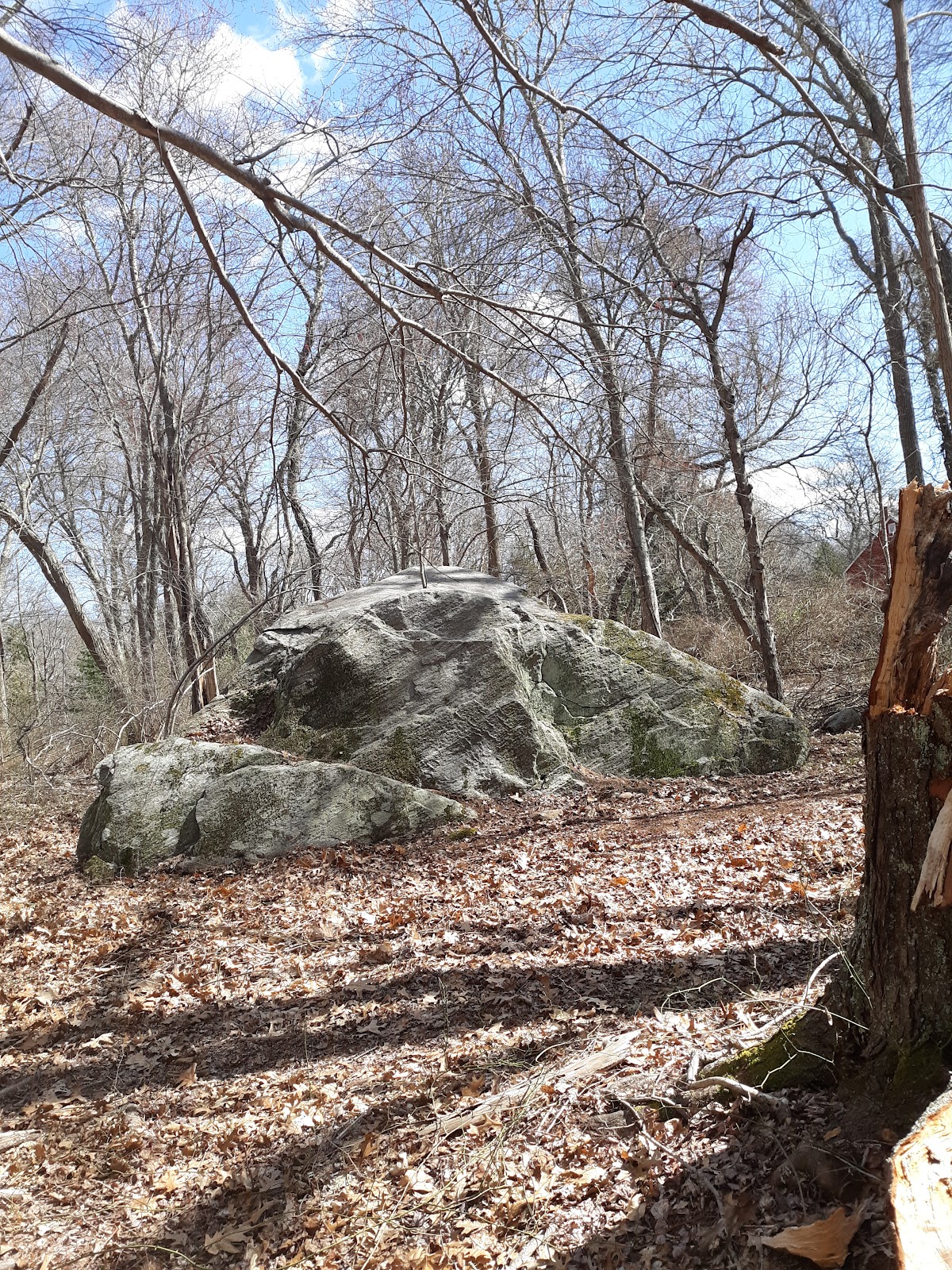 Potter Wood