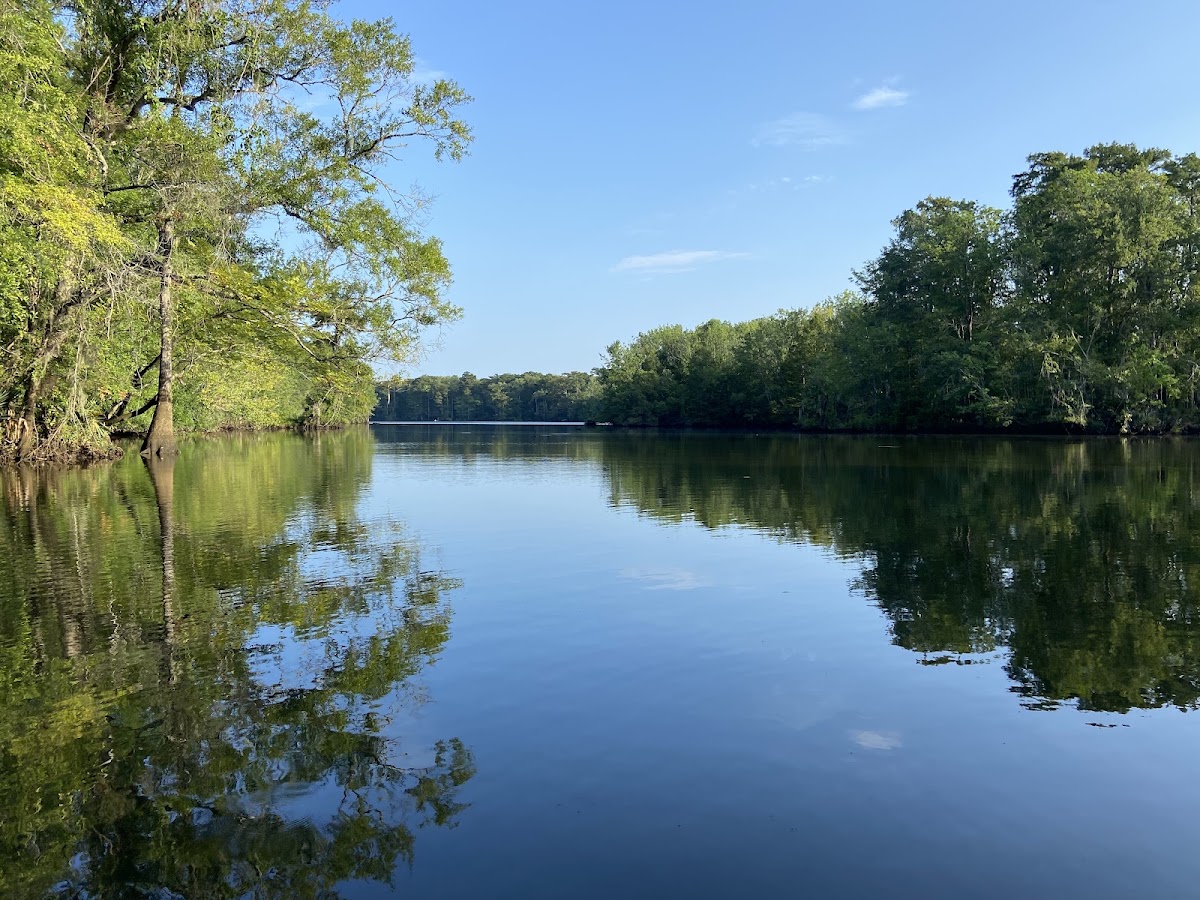 Mifflin Lake