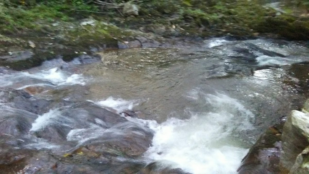 Comers Creek