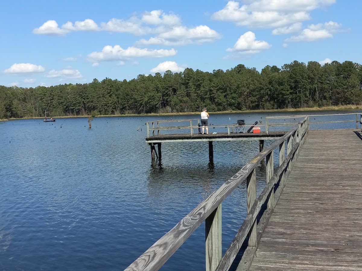 Lake Bill Waller