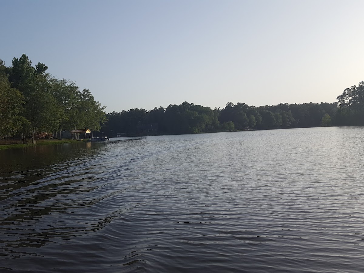 Lake David