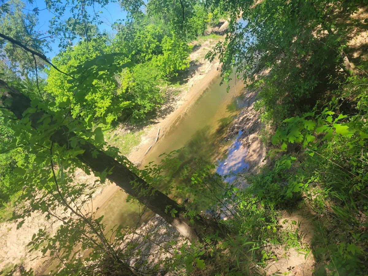 Polecat Creek
