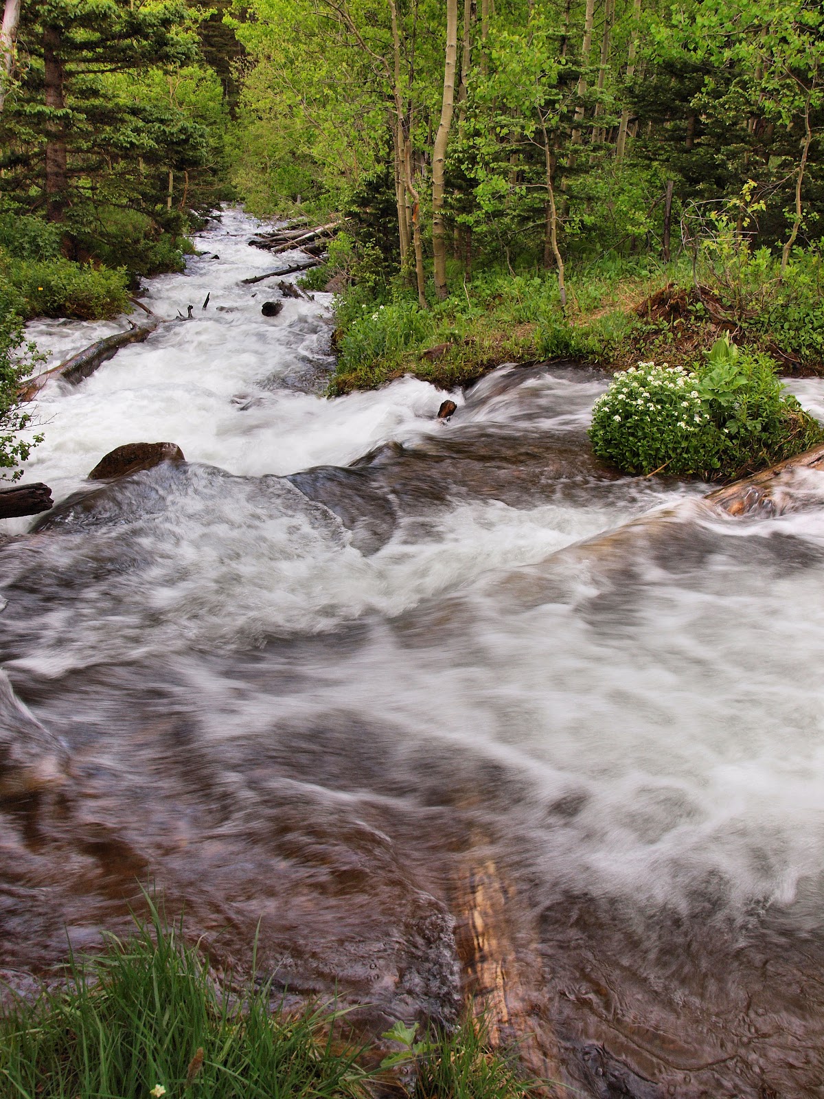 Cucharas River