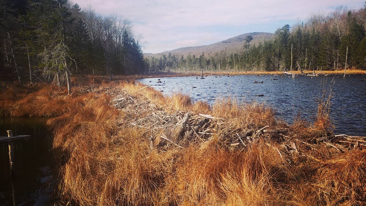 Castle Brook