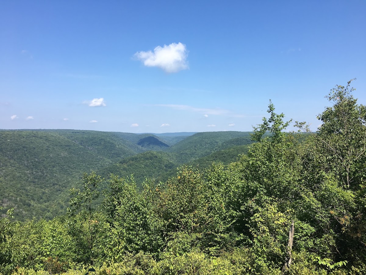 Black Forest Trail