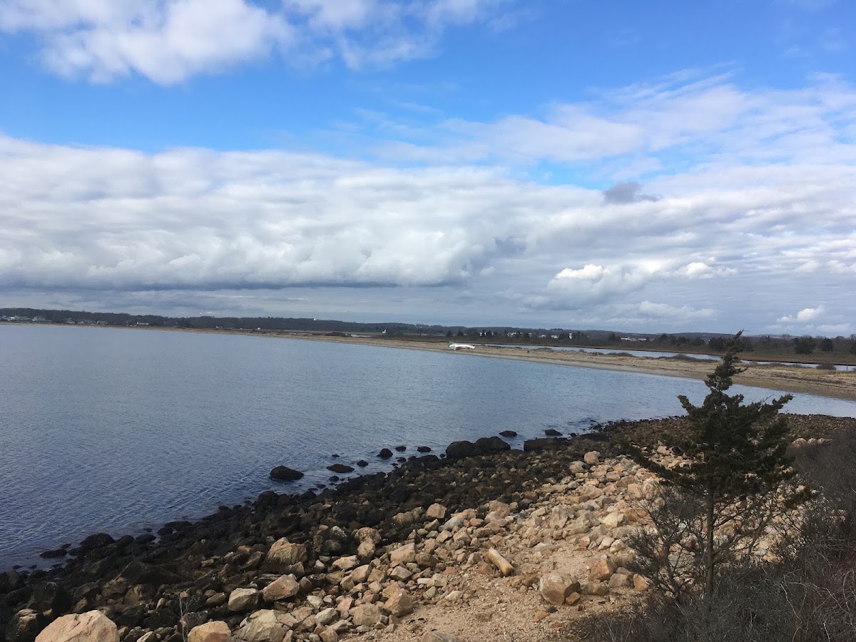 Bushy Point Beach