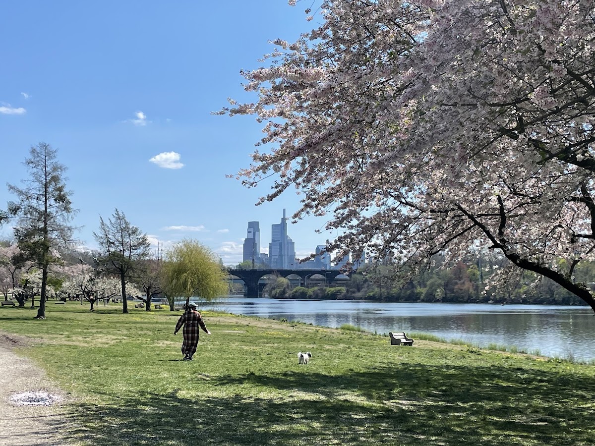 East Fairmount Park