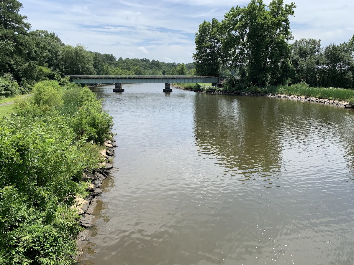 Marshyhope Creek