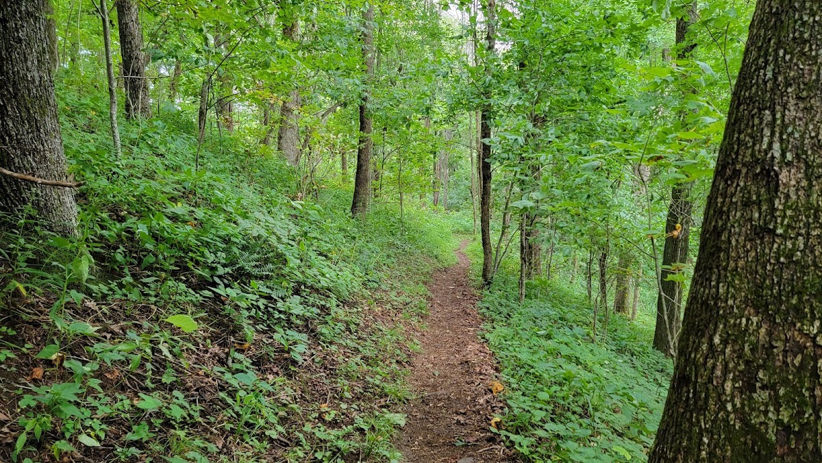 Mountains-to-Sea Trail