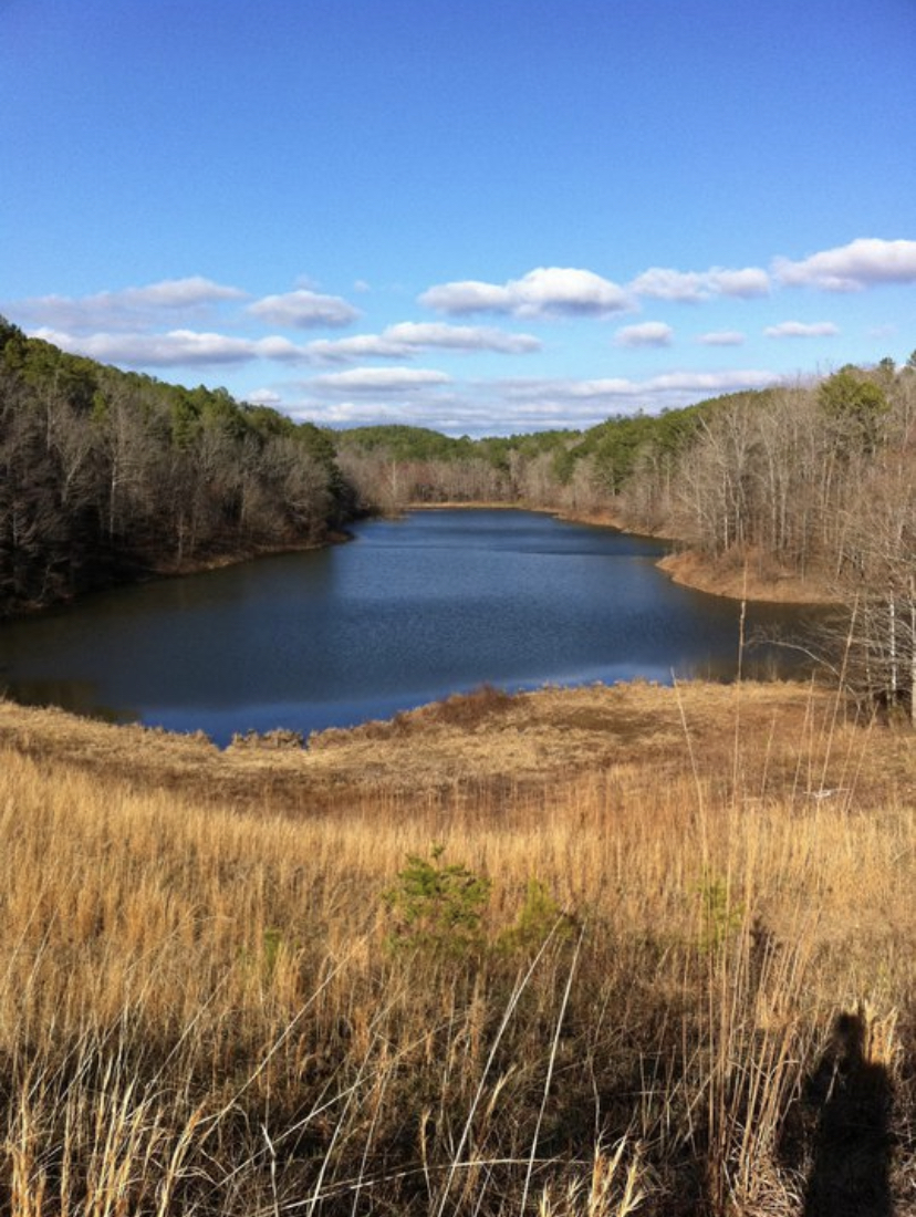 Tallaseehatchee Creek Watershed