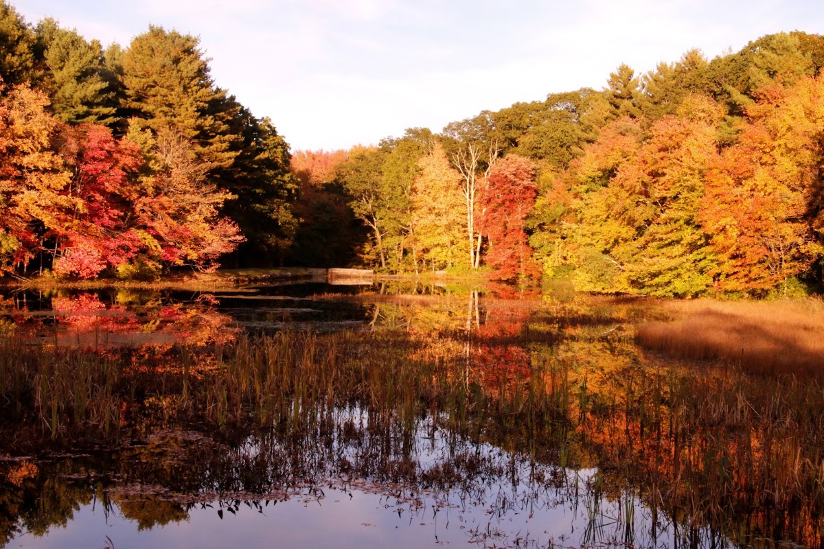 Westconnaug Reservoir