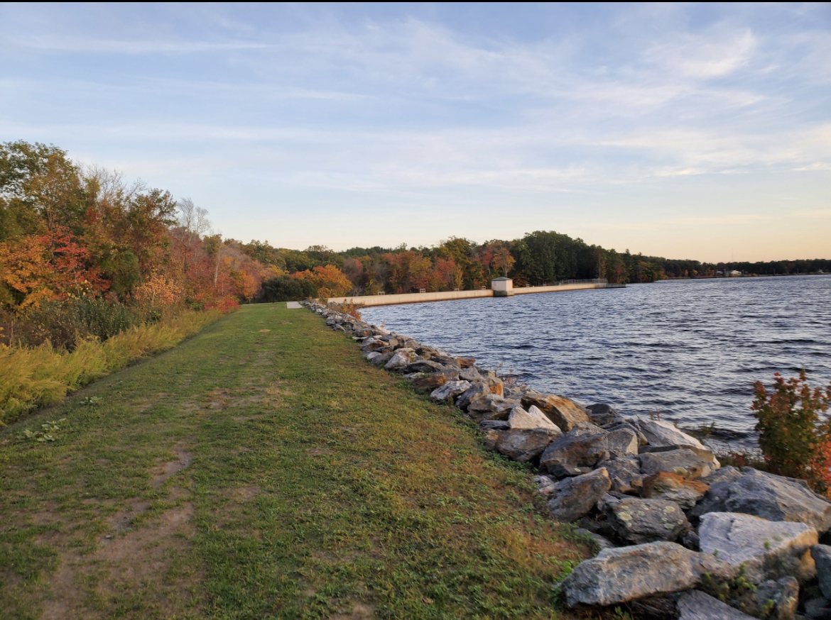 Stump Pond