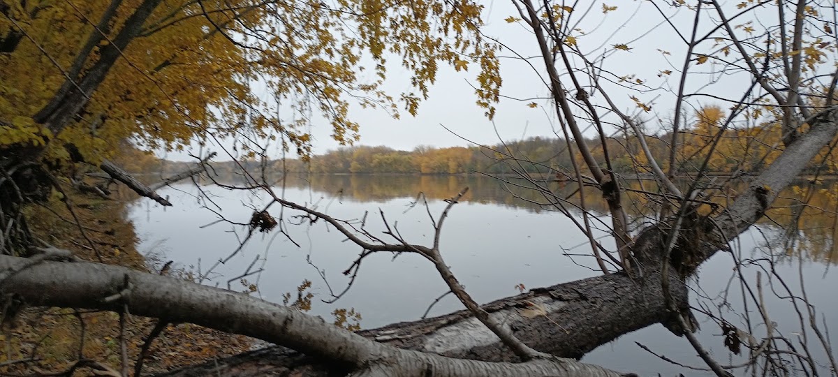 Mississippi River Park / King's Island