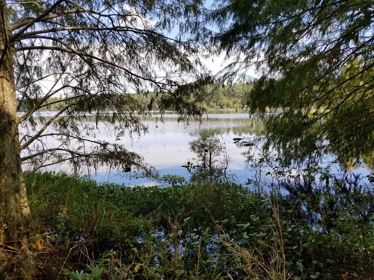 Jefferson Davis Lake
