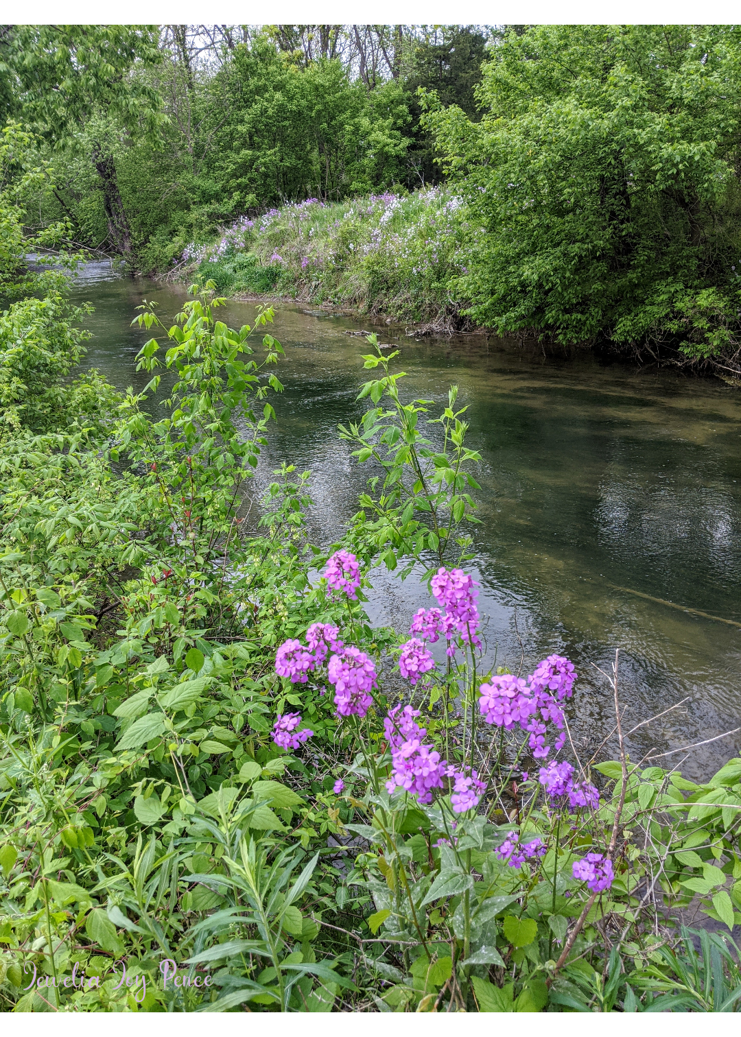 Smith Creek