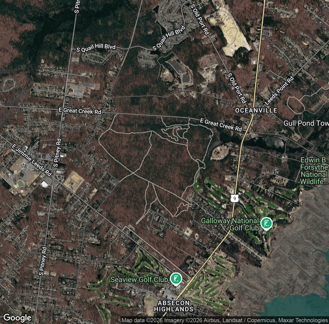 Nucleus