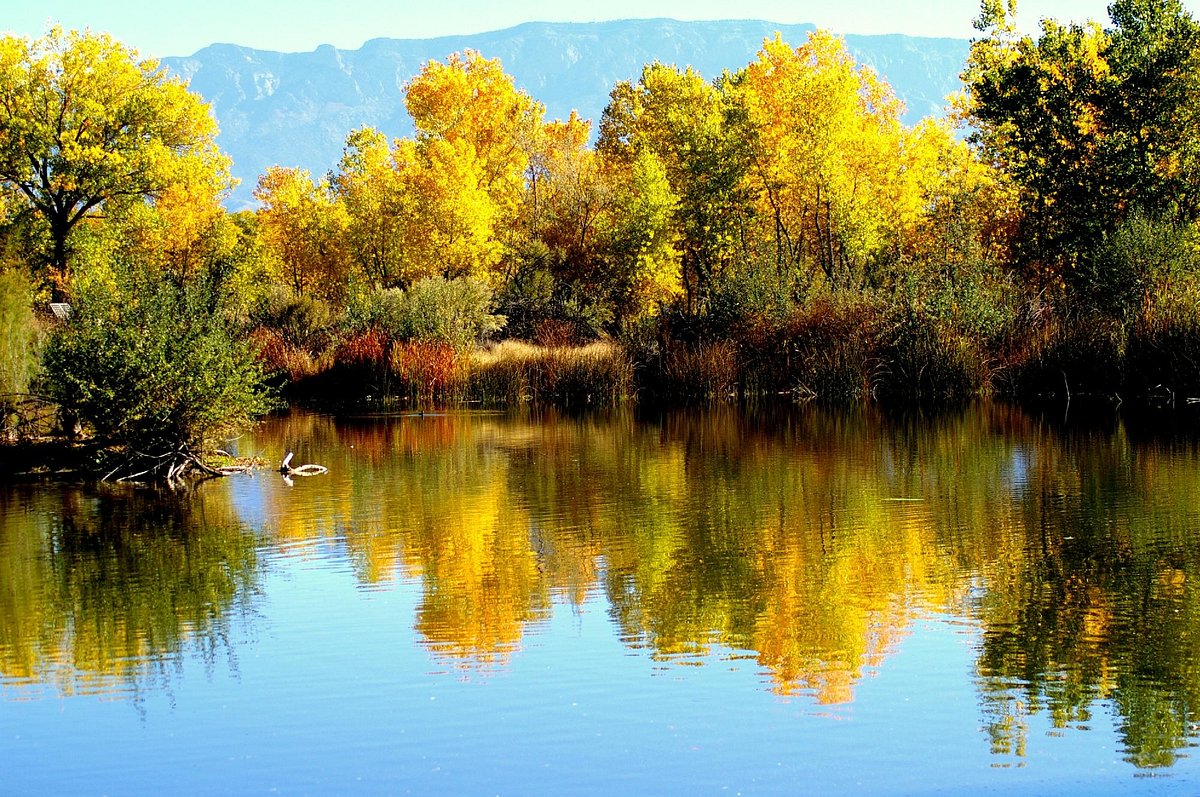 Rio Grande Bosque