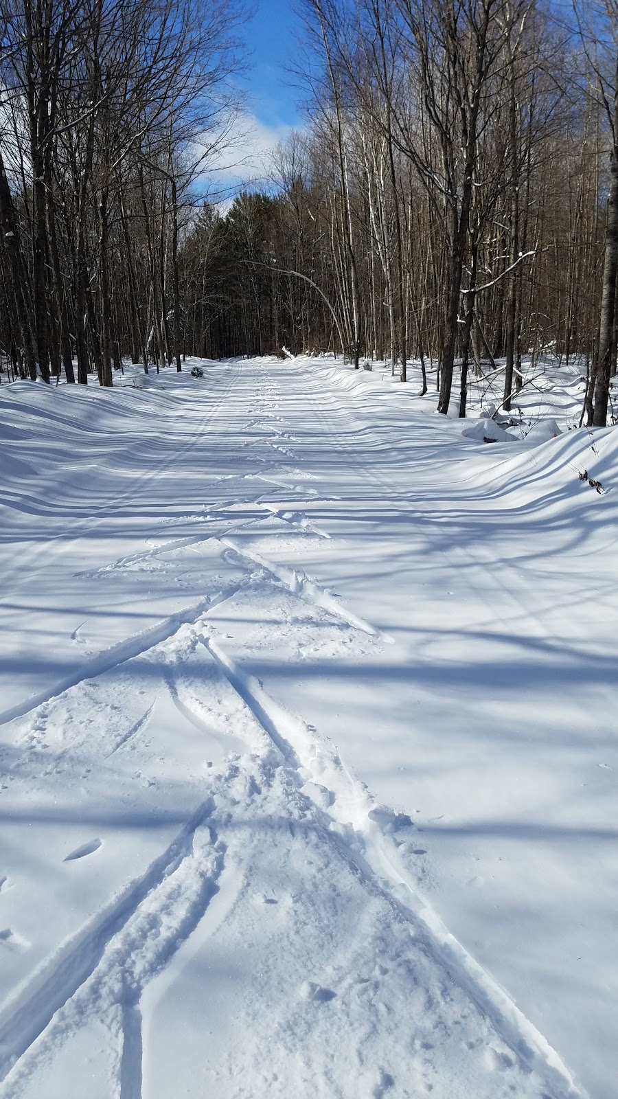 Lakewood XC Course